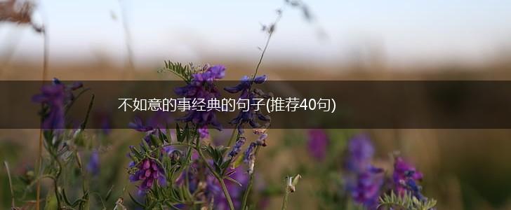 不如意的事经典的句子(推荐40句),第1张