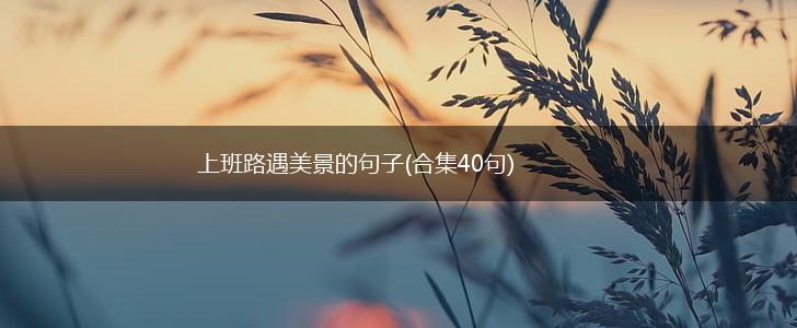 上班路遇美景的句子(合集40句),第1张