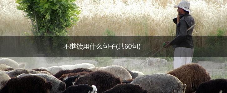 不继续用什么句子(共60句),第1张