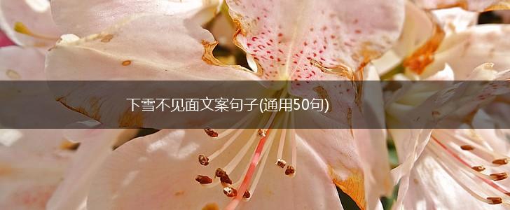 下雪不见面文案句子(通用50句),第1张