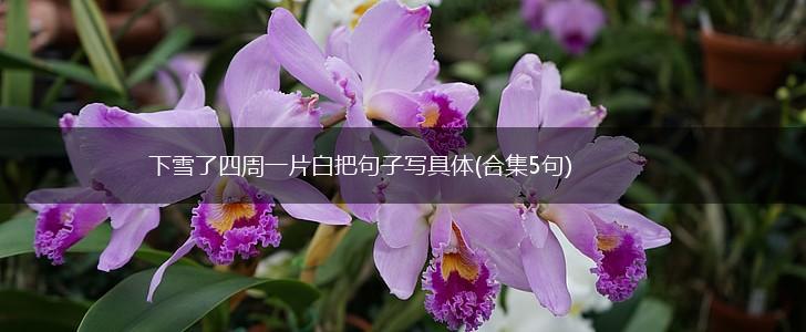 下雪了四周一片白把句子写具体(合集5句),第1张
