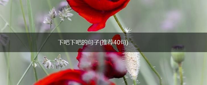 下吧下吧的句子(推荐40句),第1张