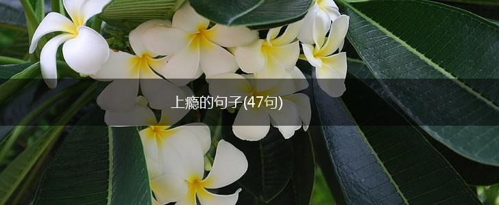 上瘾的句子(47句),第1张