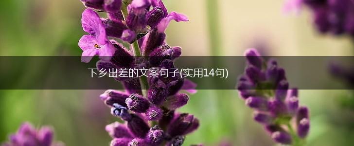 下乡出差的文案句子(实用14句),第1张