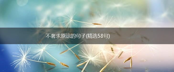 不奢求原谅的句子(精选58句),第1张