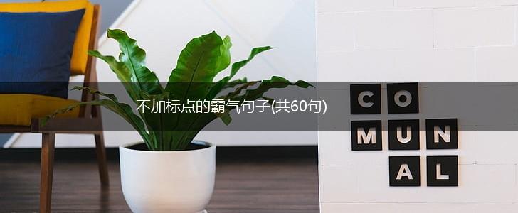 不加标点的霸气句子(共60句),第1张
