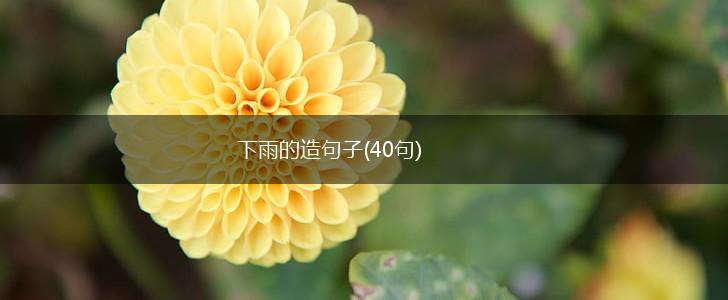 下雨的造句子(40句),第1张