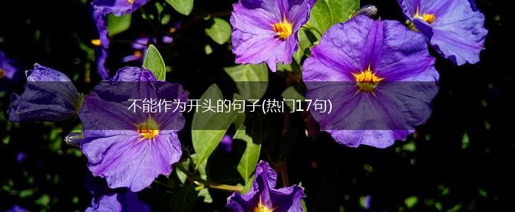 不能作为开头的句子(热门17句),第1张