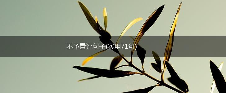 不予置评句子(实用71句),第1张