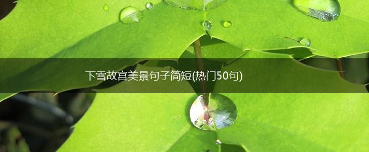 下雪故宫美景句子简短(热门50句),第1张