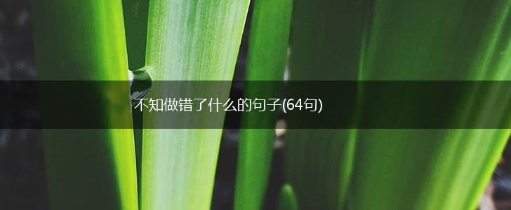 不知做错了什么的句子(64句),第1张