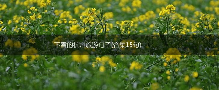 下雪的杭州旅游句子(合集15句),第1张