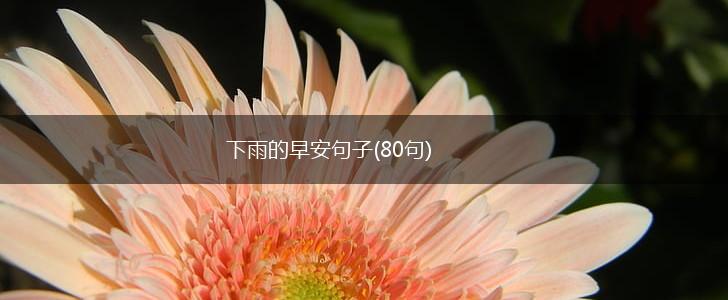 下雨的早安句子(80句),第1张