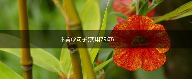 不勇敢句子(实用79句),第1张