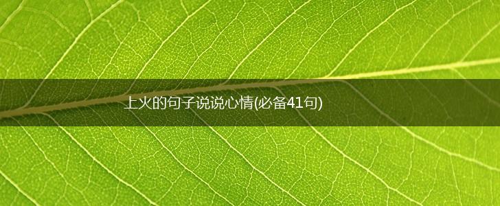 上火的句子说说心情(必备41句),第1张