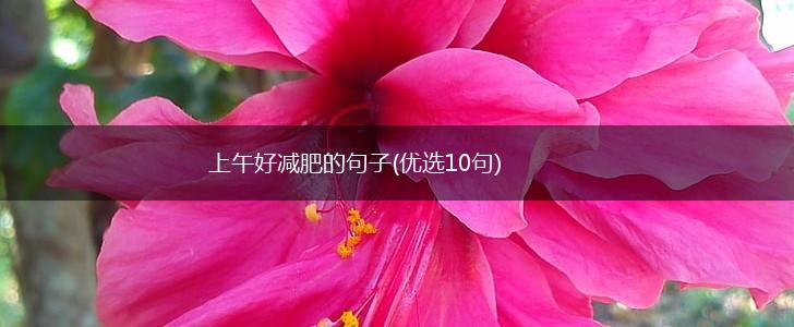 上午好减肥的句子(优选10句),第1张