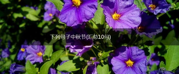 下列句子中秋节(汇总10句),第1张