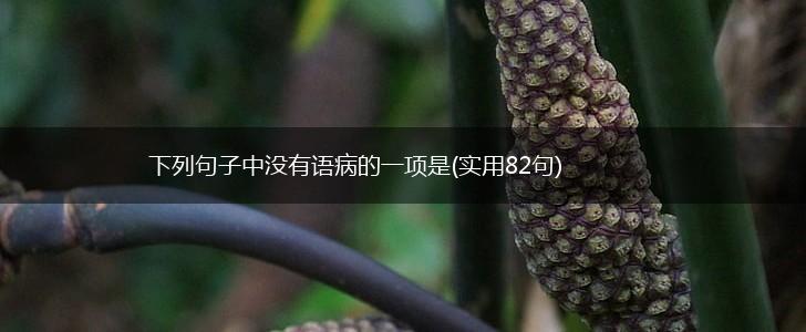 下列句子中没有语病的一项是(实用82句),第1张