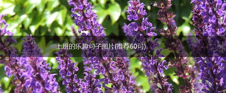 上班的乐趣句子图片(推荐60句),第1张