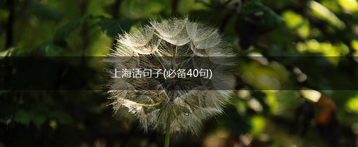 上海话句子(必备40句),第1张
