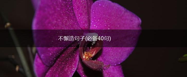 不懈造句子(必备40句),第1张