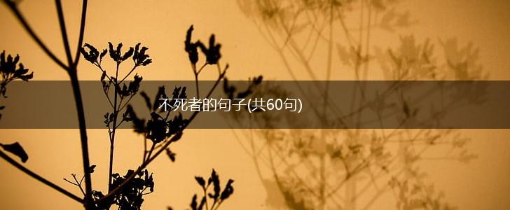 不死者的句子(共60句),第1张
