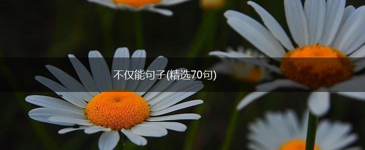不仅能句子(精选70句),第1张