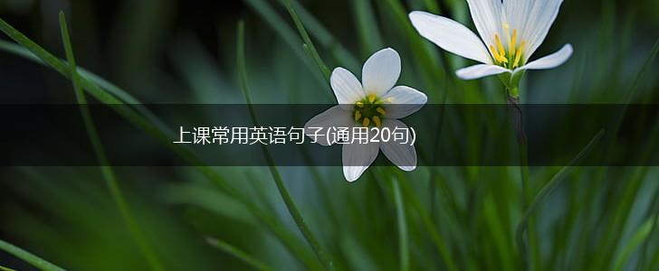 上课常用英语句子(通用20句),第1张