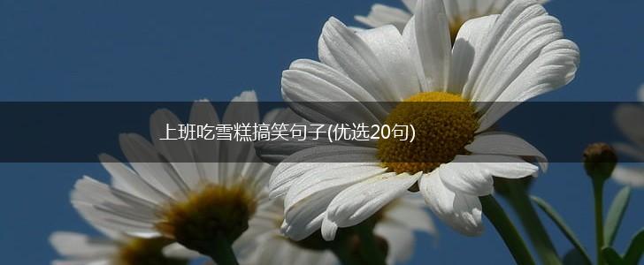 上班吃雪糕搞笑句子(优选20句),第1张
