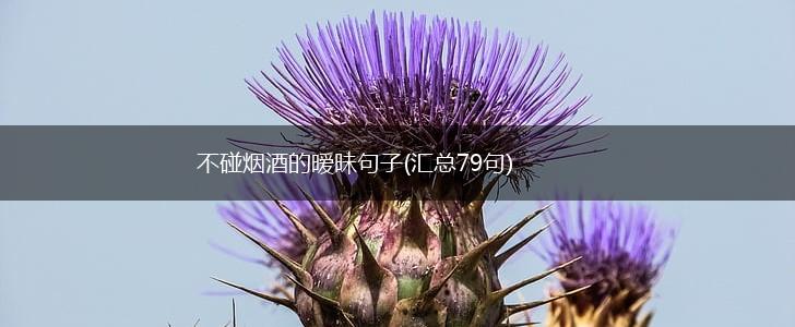 不碰烟酒的暧昧句子(汇总79句),第1张