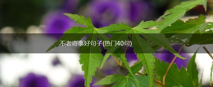 不老奇事好句子(热门40句),第1张