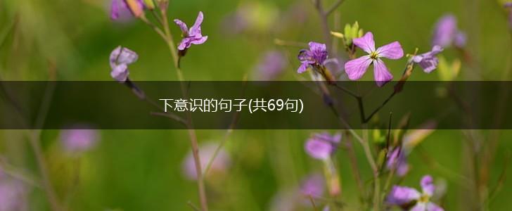 下意识的句子(共69句),第1张