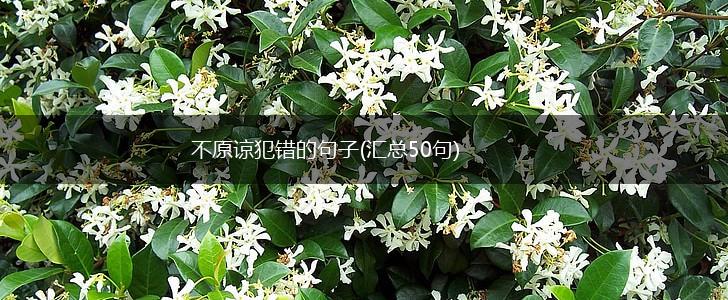 不原谅犯错的句子(汇总50句),第1张