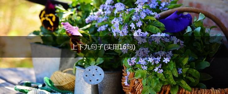 上下九句子(实用16句),第1张