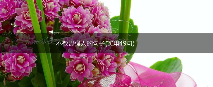 不敬畏强人的句子(实用49句),第1张