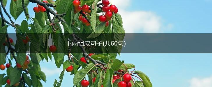 下雨组成句子(共60句),第1张