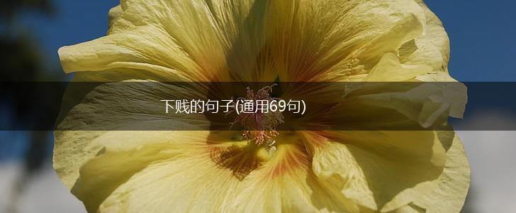下贱的句子(通用69句),第1张
