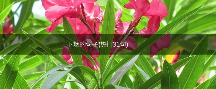 下烟的句子(热门31句),第1张