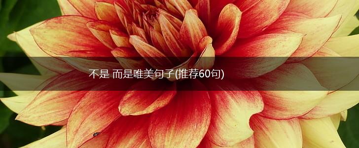 不是 而是唯美句子(推荐60句),第1张