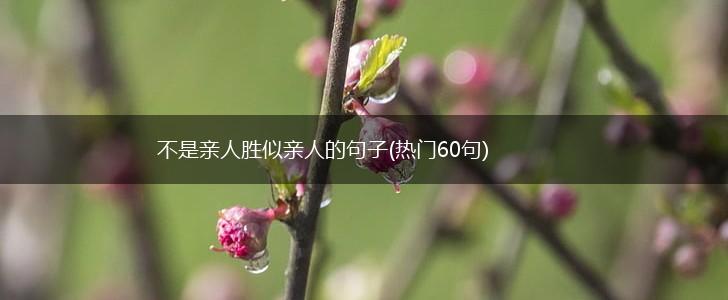 不是亲人胜似亲人的句子(热门60句),第1张