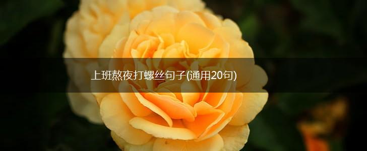 上班熬夜打螺丝句子(通用20句),第1张