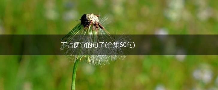 不占便宜的句子(合集60句),第1张