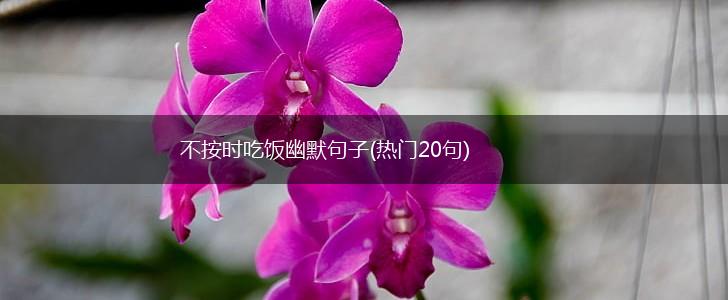 不按时吃饭幽默句子(热门20句),第1张