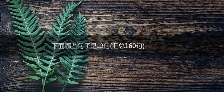 下面哪些句子是单句(汇总160句),第1张