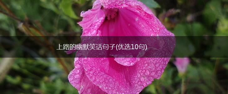 上路的幽默笑话句子(优选10句),第1张