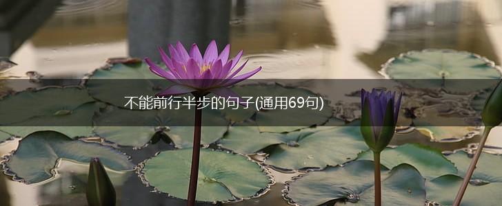 不能前行半步的句子(通用69句),第1张