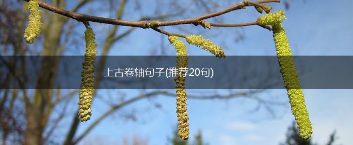 上古卷轴句子(推荐20句),第1张