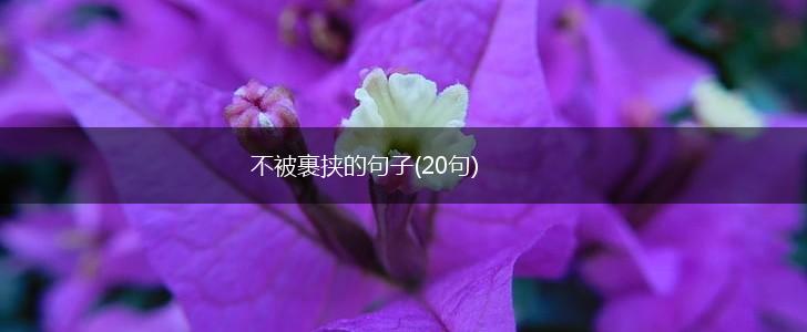 不被裹挟的句子(20句),第1张