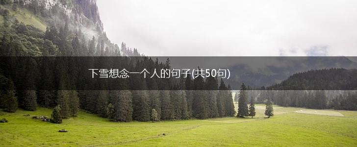 下雪想念一个人的句子(共50句),第1张
