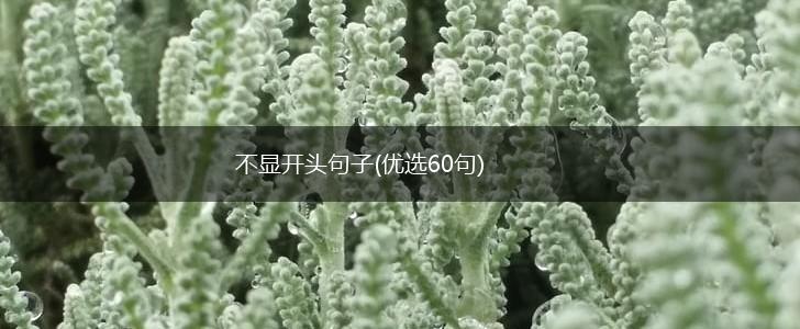不显开头句子(优选60句),第1张